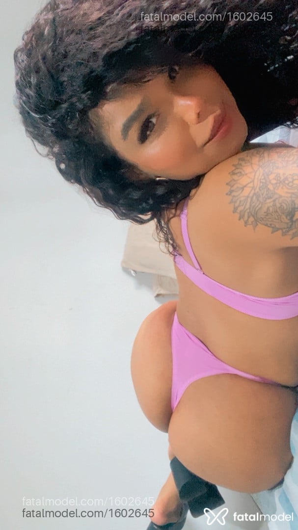 Acompanhante travesti com cabelo castanho de olhos pretos em São João da Boa Vista - Claudia Gonçalves