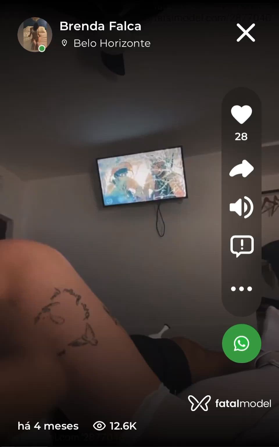Vídeo 6