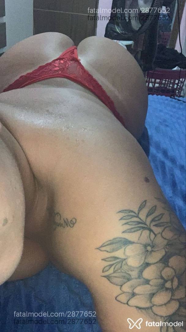 Acompanhante mulher morena (o) de olhos castanhos - Karol