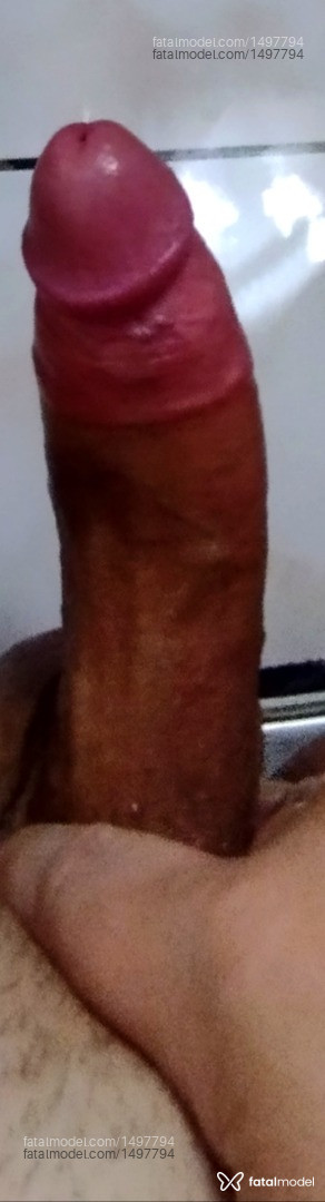Imagem 5