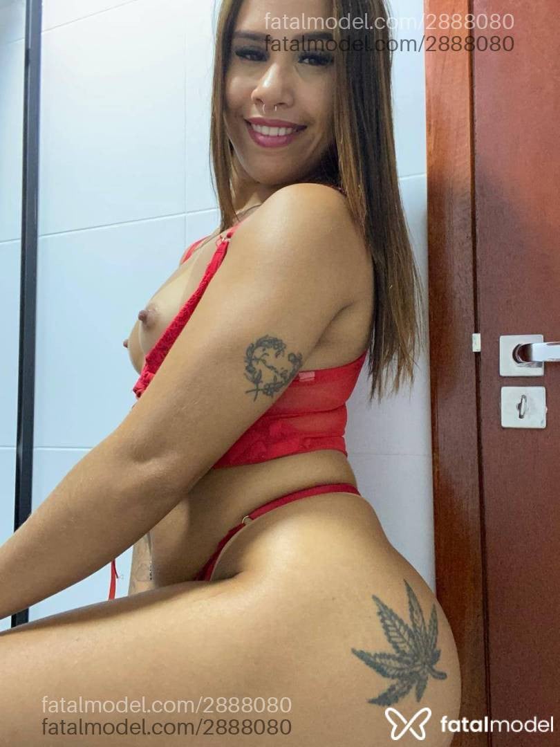 Imagem 4