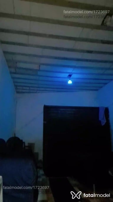 Acompanhante mulher com cabelo castanho de olhos castanhos em Iguaba Grande Acompanhante mulher com cabelo castanho de olhos castanhos em Iguaba Grande - Jaquelineborboleta