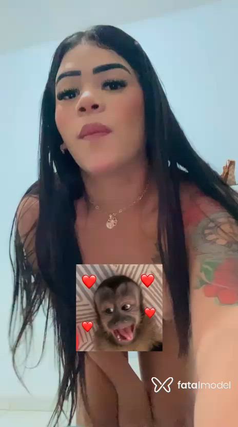 Vídeo 6