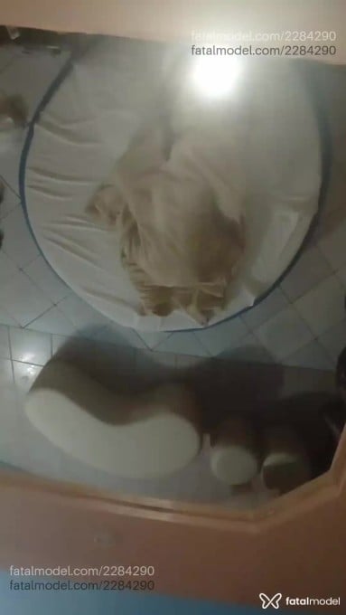 Acompanhante mulher morena (o) de olhos pretos em Porto Alegre - Roberta