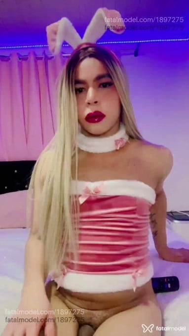 Acompanhante homem trans loira (o) de olhos castanhos em Cascavel - Michelle