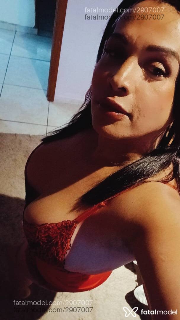 Acompanhante mulher trans morena (o) de olhos castanhos - Danielle