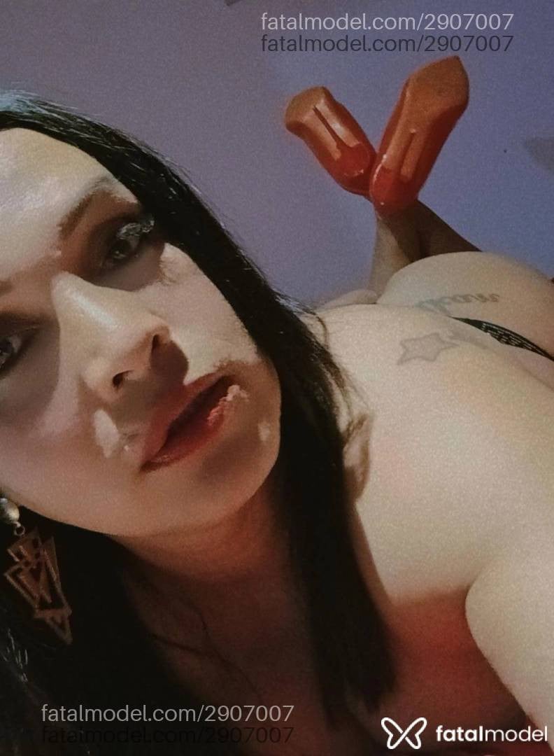 Acompanhante mulher trans morena (o) de olhos castanhos em Penha Acompanhante mulher trans morena (o) de olhos castanhos em Penha - Danielle