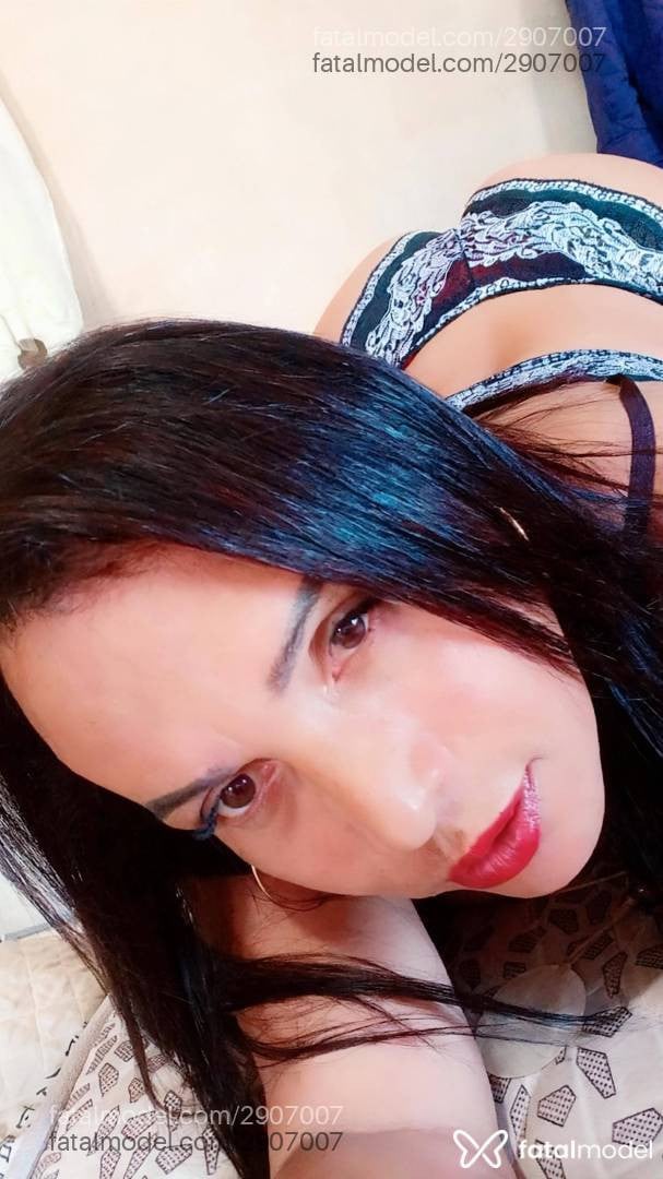 Acompanhante mulher trans morena (o) de olhos castanhos - Danielle