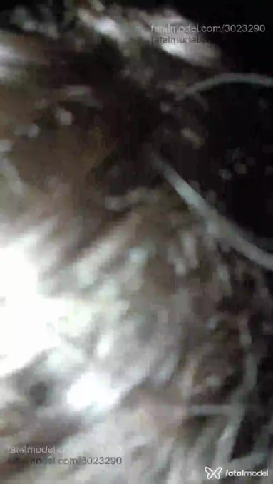 Acompanhante homem com cabelo castanho de olhos castanhos em Porto Alegre - Eliseu