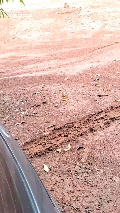 Acompanhante mulher morena (o) de olhos castanhos em Piracicaba Acompanhante mulher morena (o) de olhos castanhos em Piracicaba - Debora