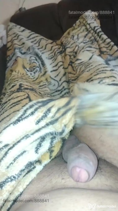Acompanhante mulher trans loira (o) de olhos castanhos em Araçatuba Acompanhante mulher trans loira (o) de olhos castanhos em Araçatuba - Dani Araçatuba