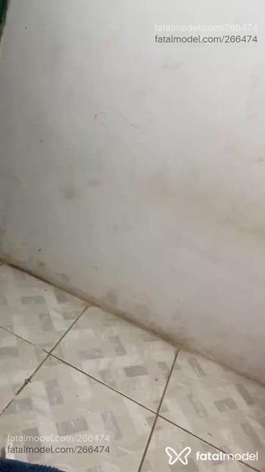 Acompanhante travesti com cabelo colorido de olhos mel em Peixoto de Azevedo Acompanhante travesti com cabelo colorido de olhos mel em Peixoto de Azevedo - Bianca