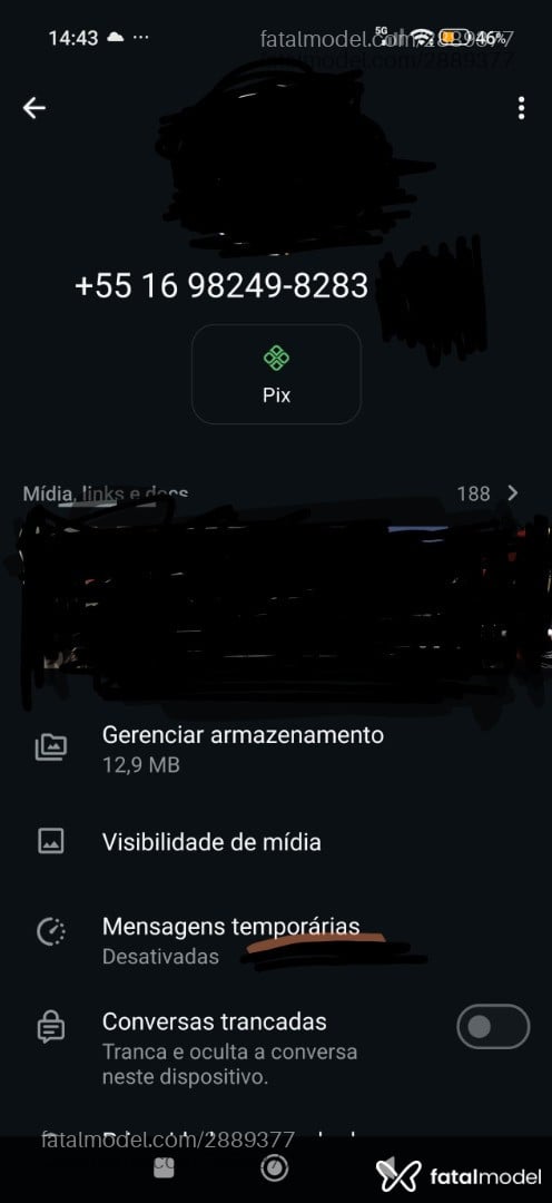 Acompanhante homem com cabelo grisalho de olhos castanhos em Ribeirão Preto - Silva