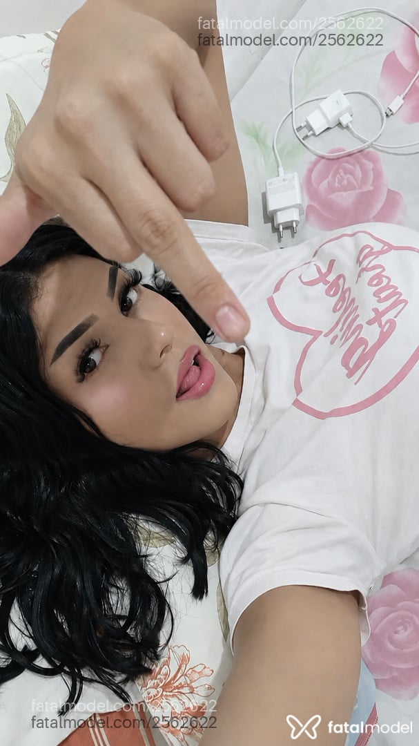 Acompanhante mulher trans morena (o) de olhos pretos em João Pessoa - Daphne Larissa