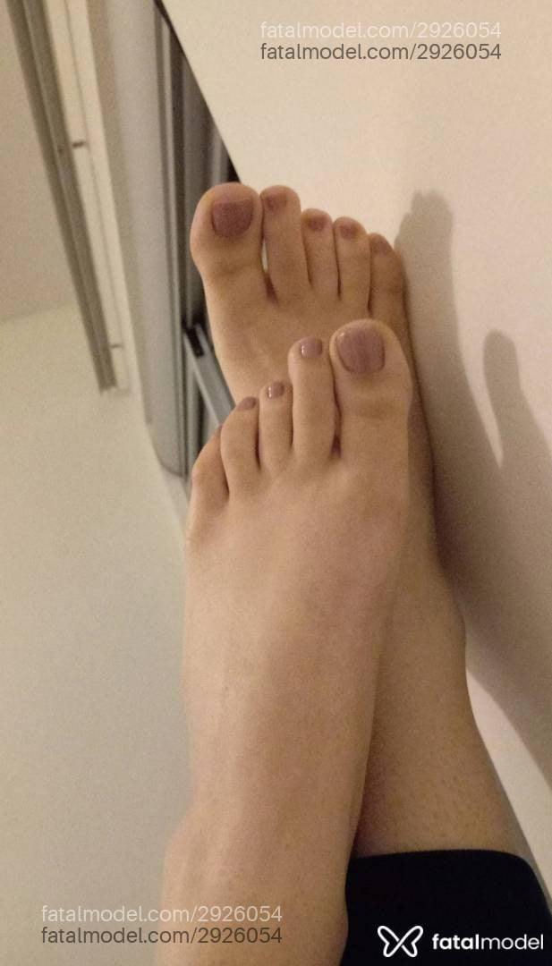 Acompanhante mulher com cabelo castanho de olhos castanhos em Itajaí - Layla Nassar