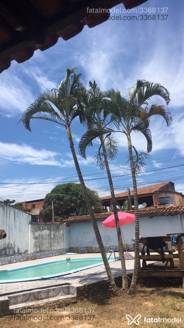 Acompanhante homem morena (o) de olhos castanhos em Aracruz - Gustavo Lima