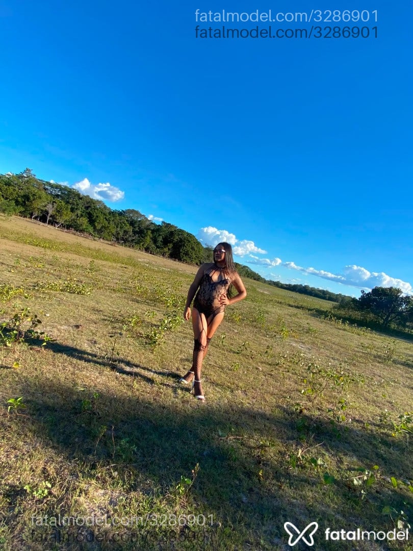 Acompanhante mulher trans morena (o) de olhos castanhos em Teresina - Giselly