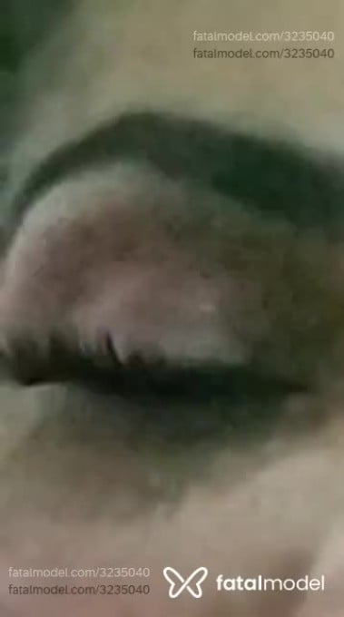 Acompanhante mulher trans com cabelo castanho de olhos castanhos em Jataí Acompanhante mulher trans com cabelo castanho de olhos castanhos em Jataí - Thays Orrayo