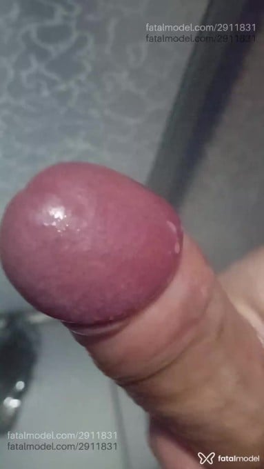 Acompanhante homem com cabelo castanho de olhos castanhos - Brum Acompanhante homem com cabelo castanho de olhos castanhos - Brum