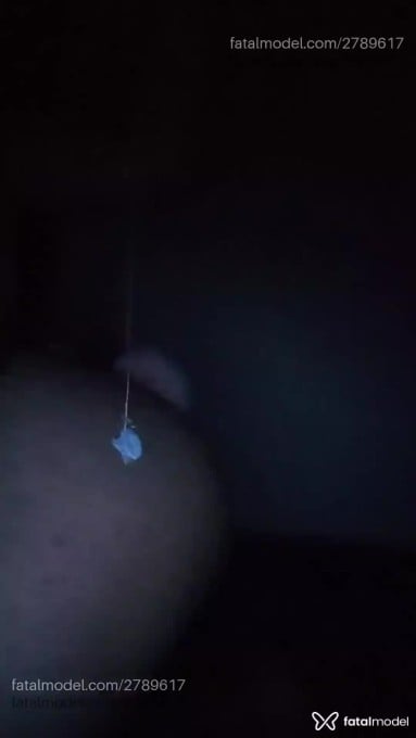 Acompanhante mulher trans morena (o) de olhos castanhos em São José do Rio Preto Acompanhante mulher trans morena (o) de olhos castanhos em São José do Rio Preto - Jennifer Check