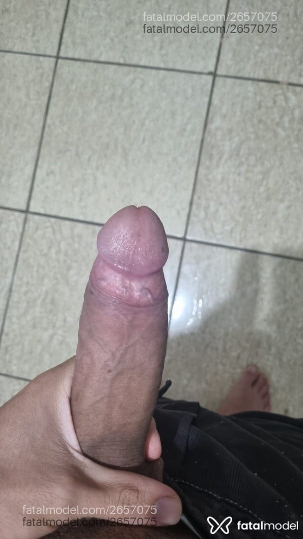Acompanhante homem com cabelo castanho de olhos castanhos - Sousa