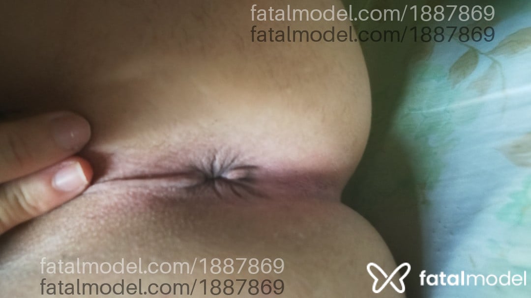 Acompanhante mulher trans morena (o) de olhos castanhos em Parauapebas - Paola bracho