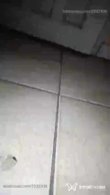 Acompanhante homem sem cabelo de olhos castanhos - Nero Vix