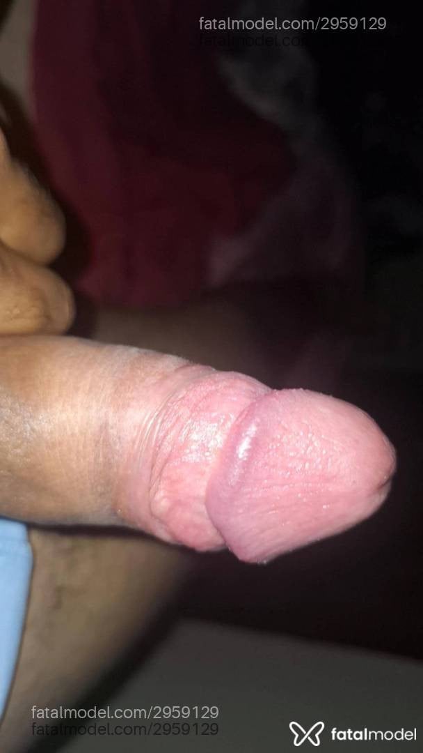 Acompanhante homem com cabelo castanho de olhos castanhos - santos
