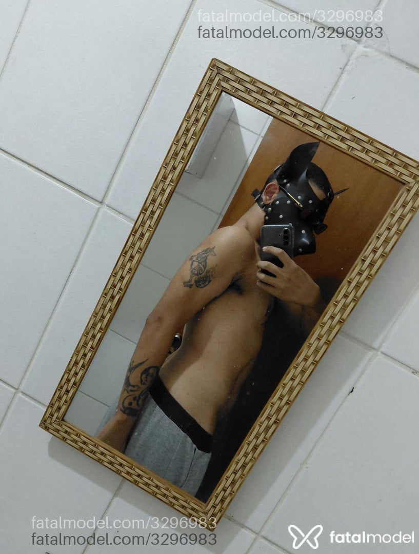 Acompanhante homem com cabelo castanho de olhos castanhos - Tauroquinze