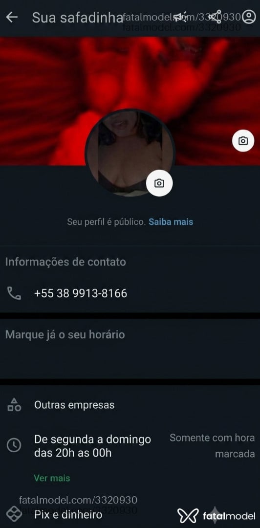 Acompanhante mulher com cabelo castanho de olhos castanhos em Montes Claros - Dany