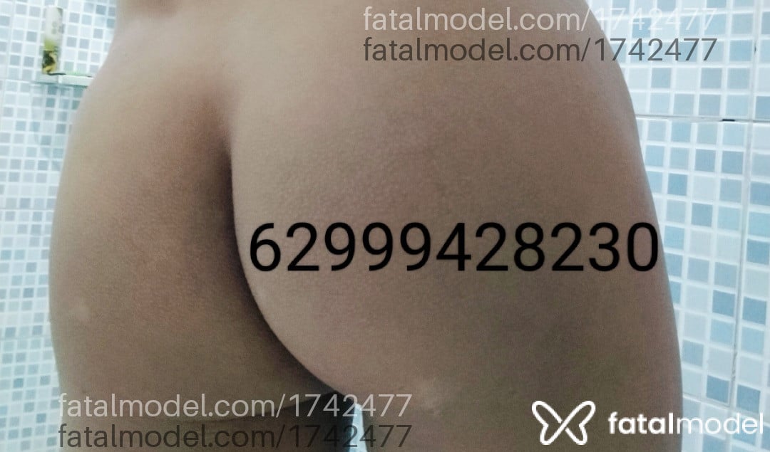 Imagem 3