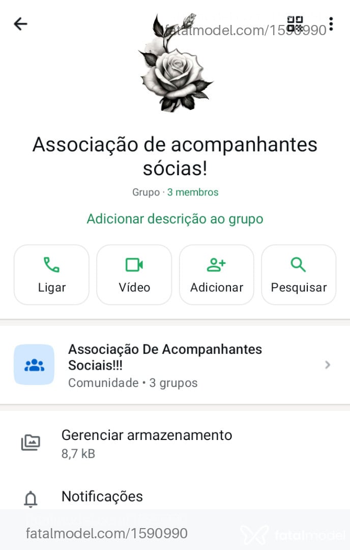 Acompanhante homem morena (o) de olhos pretos em Divinópolis - Silva