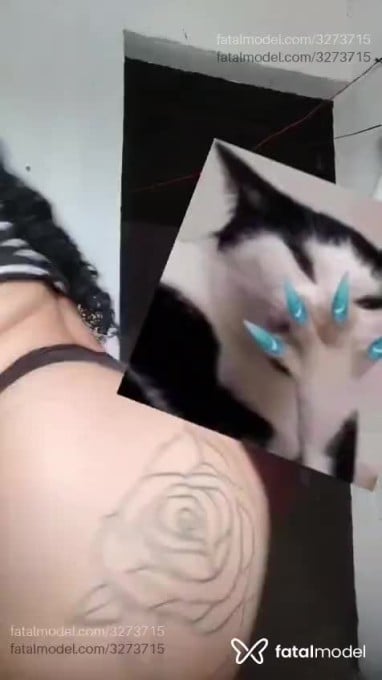 Acompanhante mulher morena (o) de olhos castanhos em Garanhuns - Sabrina silva