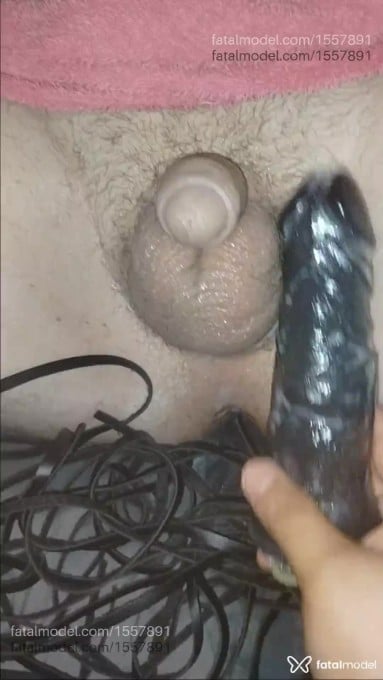 Acompanhante mulher morena (o) de olhos castanhos - Nega Lolo