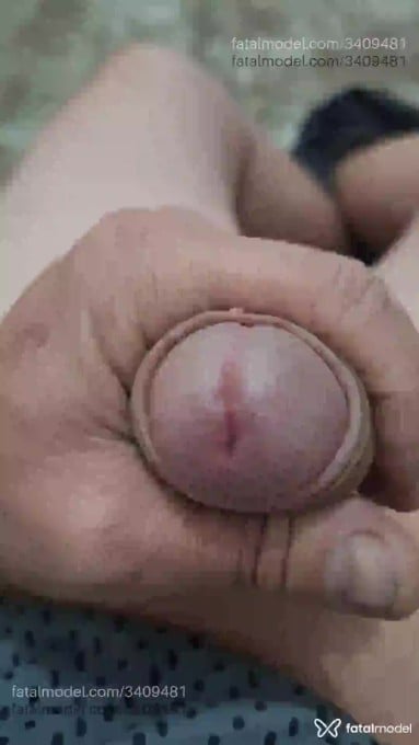 Acompanhante homem loira (o) de olhos azuis em Gravataí - Loirinho
