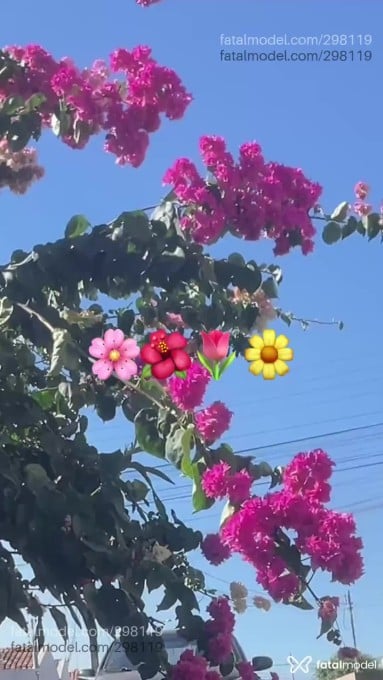Acompanhante mulher trans com cabelo castanho de olhos pretos em Catalão Acompanhante mulher trans com cabelo castanho de olhos pretos em Catalão - Catarine