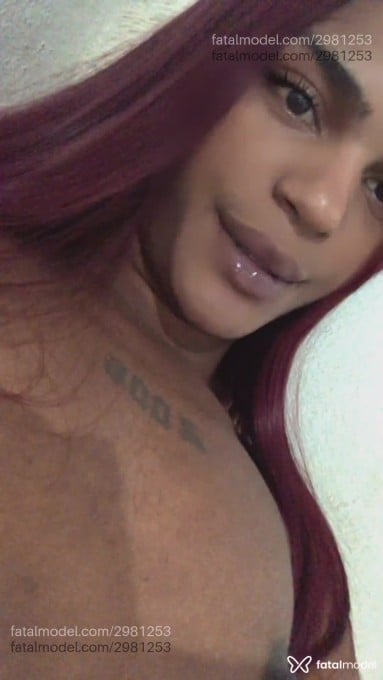 Acompanhante homem trans morena (o) de olhos pretos em Uberlândia - Hemelly Leal