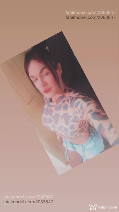 Acompanhante mulher trans morena (o) de olhos castanhos em Santa Cruz do Sul - Jhenny Paulista