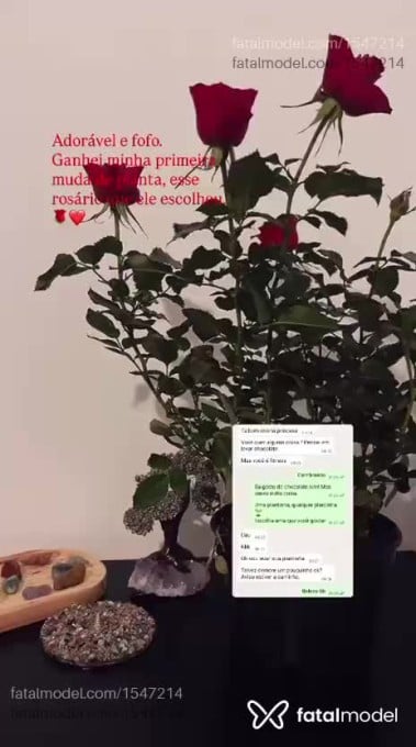 Acompanhante mulher com cabelo castanho de olhos castanhos - Jade Fortunne