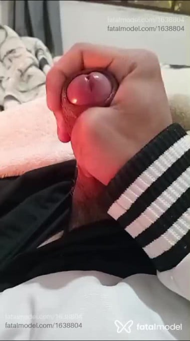 Acompanhante homem com cabelo castanho de olhos castanhos - Narciso