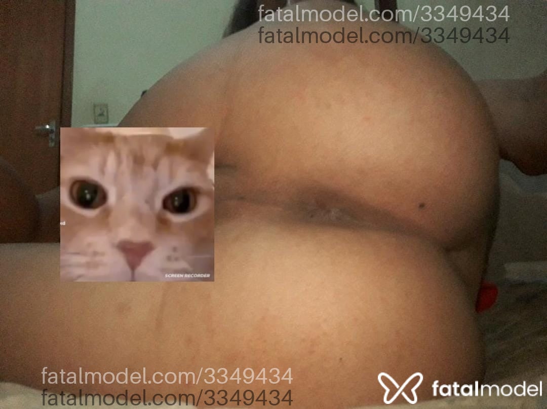 Acompanhante mulher trans com cabelo castanho de olhos castanhos em Birigui Acompanhante mulher trans com cabelo castanho de olhos castanhos em Birigui - Gabryela