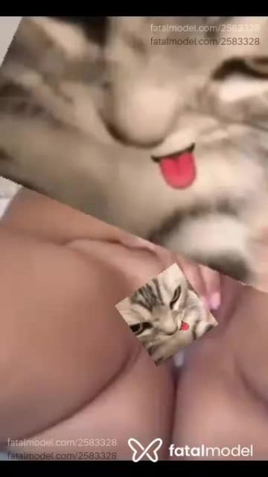 Vídeo 1