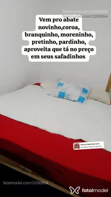 Acompanhante mulher com cabelo castanho de olhos castanhos - Nini Cat Acompanhante mulher com cabelo castanho de olhos castanhos - Nini Cat