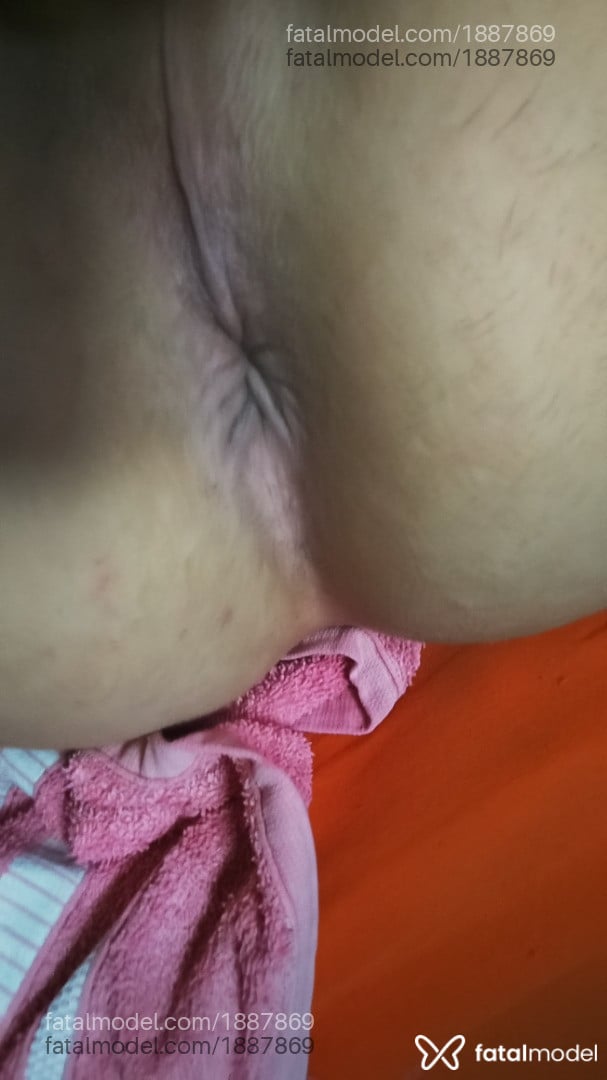 Acompanhante mulher trans morena (o) de olhos castanhos em Parauapebas - Paola bracho