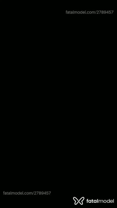 Vídeo 4