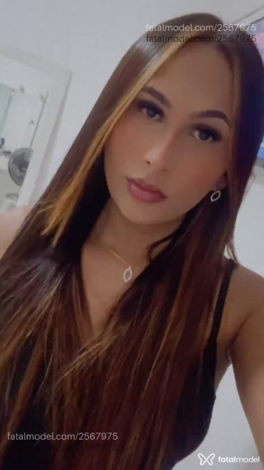 Acompanhante mulher trans com cabelo castanho de olhos castanhos - Priscilla Duarte Acompanhante mulher trans com cabelo castanho de olhos castanhos - Priscilla Duarte