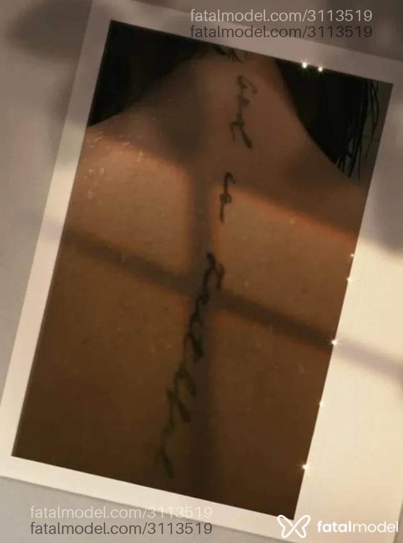 Imagem 6