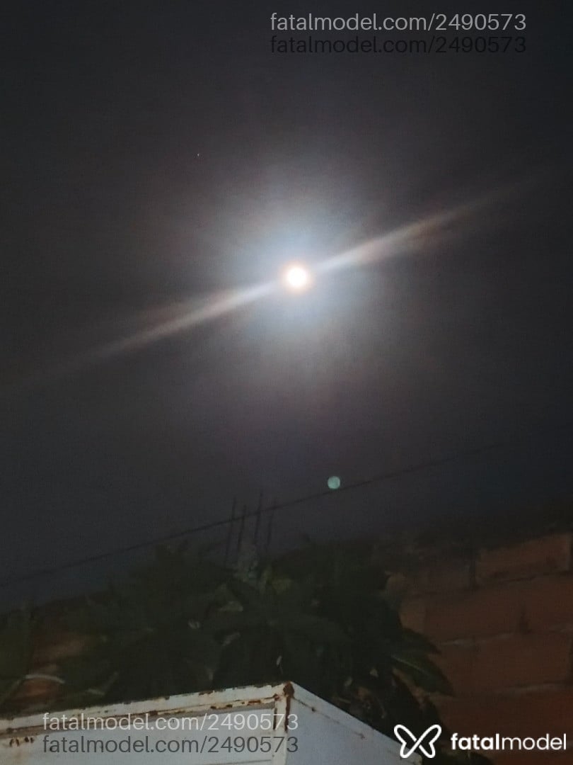 Acompanhante homem loira (o) de olhos castanhos - Negogostozin