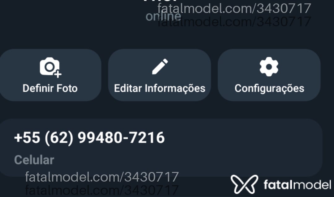 Acompanhante homem morena (o) de olhos mel em Goiânia - Imperadorribeiro
