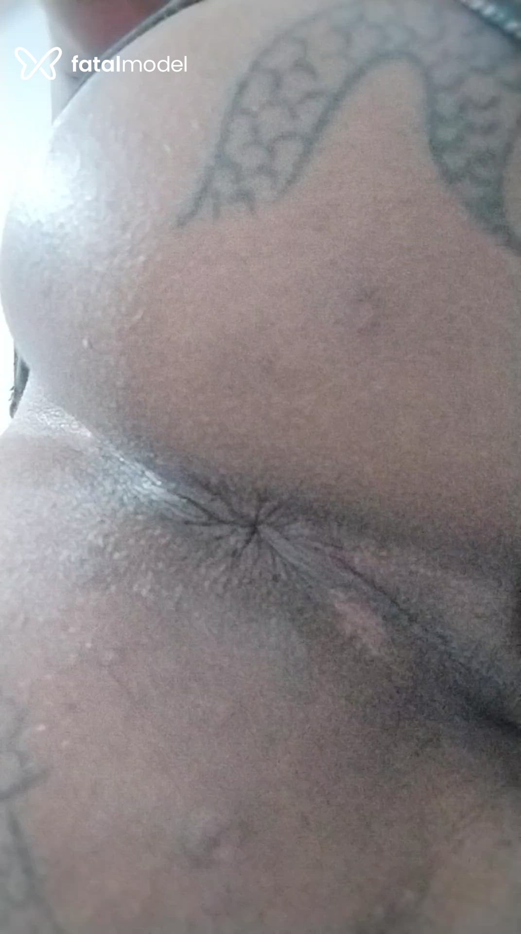 Acompanhante mulher trans morena (o) de olhos castanhos em Camaçari - Jaqueline